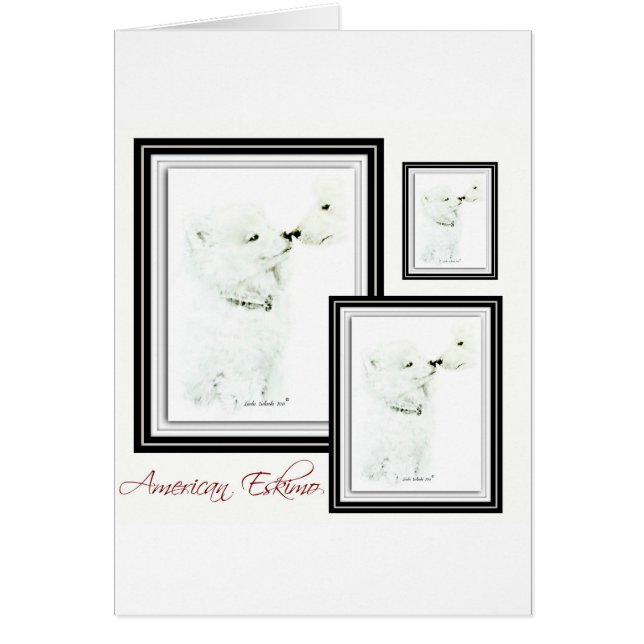 Esquimal americano (Frente)