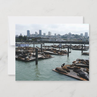 Esquina de San Francisco y Pier 39 Sea Lions City