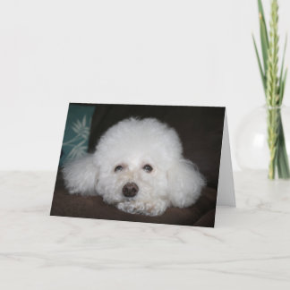 Está bien Tarjeta de perro