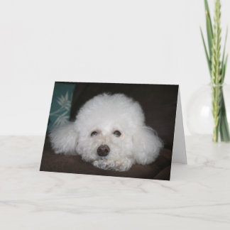 Está bien Tarjeta de perro