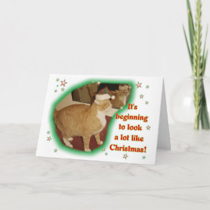 Está comenzando a parecer mucho navidad