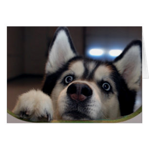 Está cualquiera hacia fuera allí