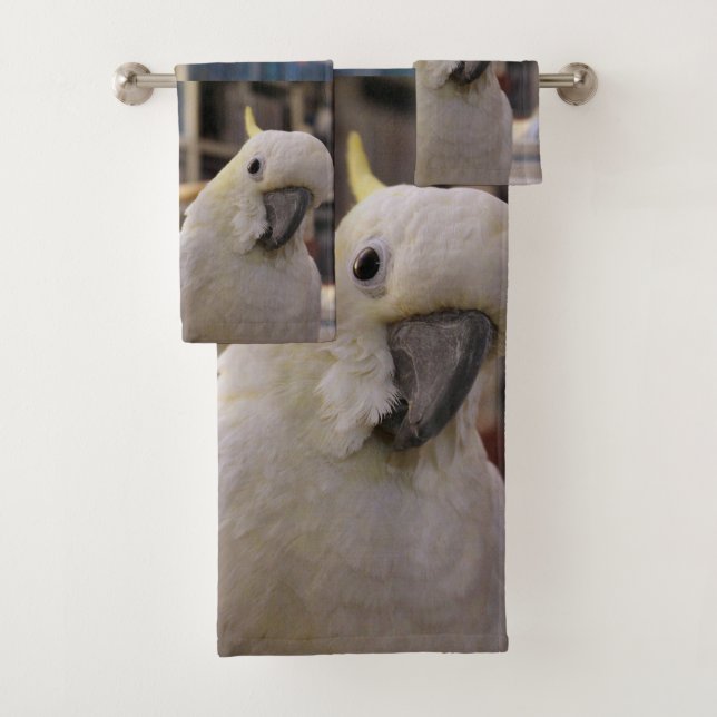 Está detrás de mí...¿no es así? (In situ)