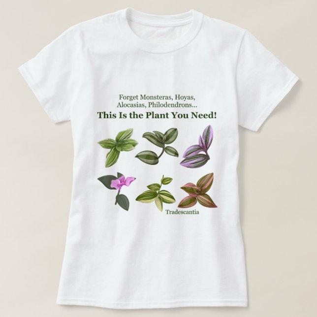Esta es la planta que necesitas para camisetas (Diseño del anverso)