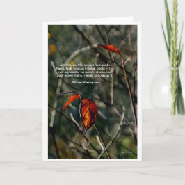 Esta es nuestra vida - Tarjeta de cotización de Sh