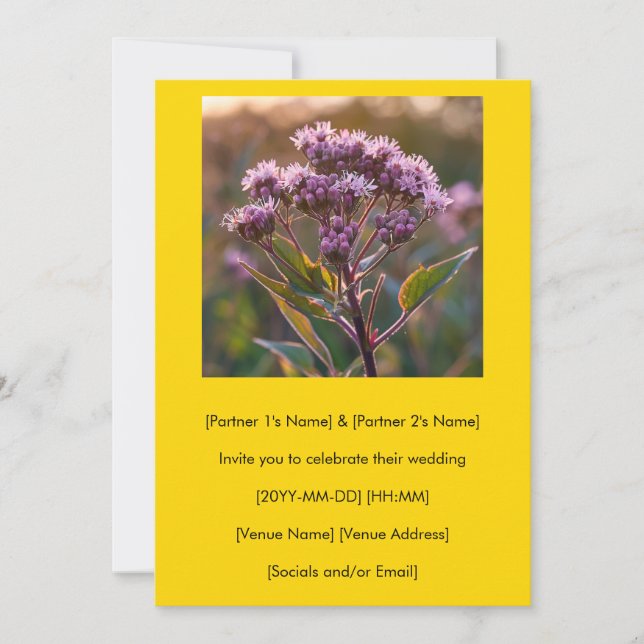 Esta Es Tu Invitación A Joe-Pye Weed (Anverso)