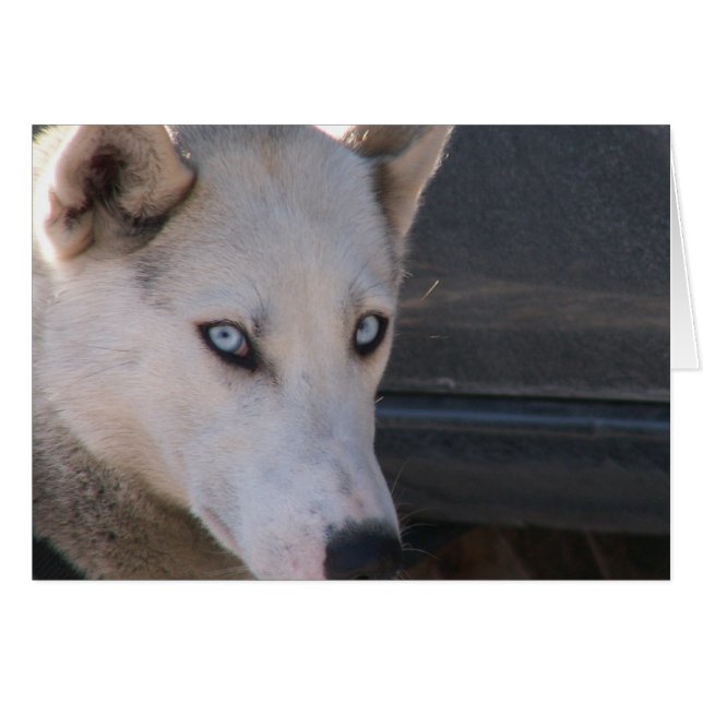 ¿Está listo? (Anverso (Horizontal))