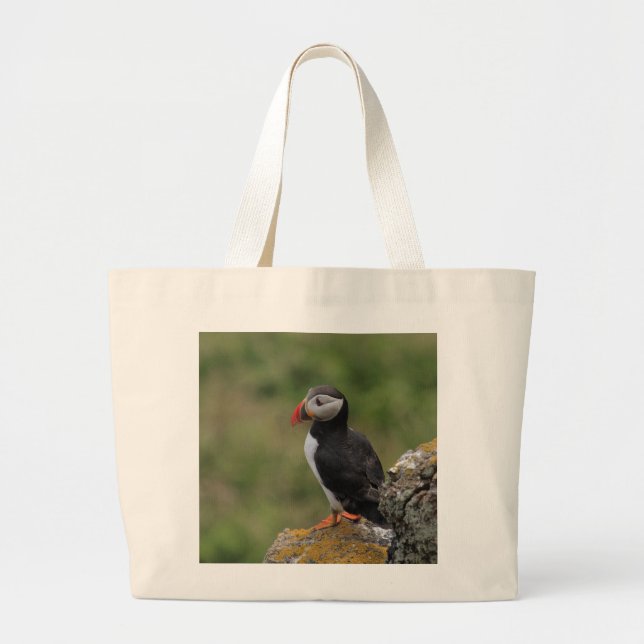 Estabilícese como bolso del frailecillo de la roca (Frente)