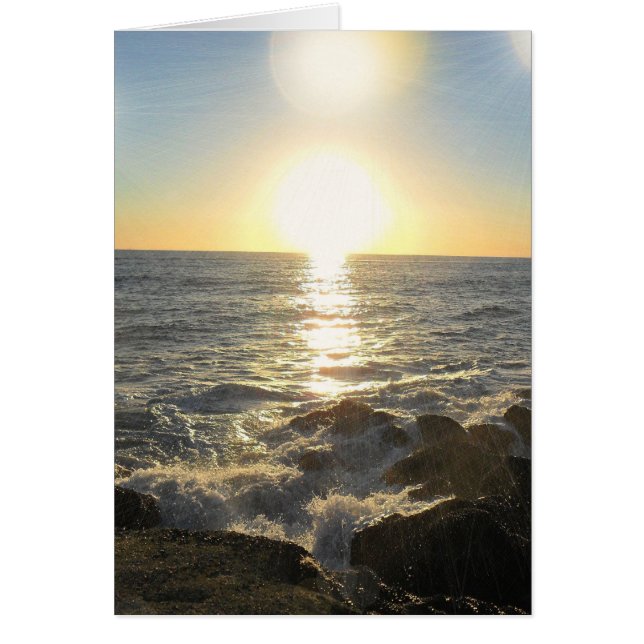 Establecer Suns (Frente)