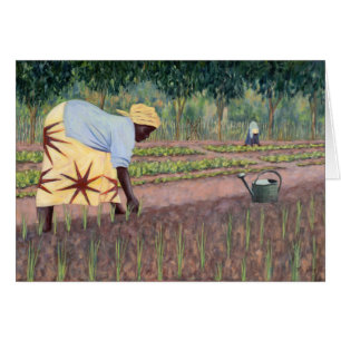 Establecimiento de las cebollas 2005