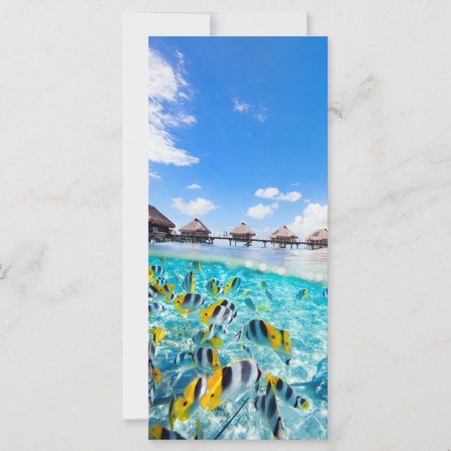 Estación de SPA (Anverso)