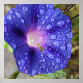 Estacionalidad y arte