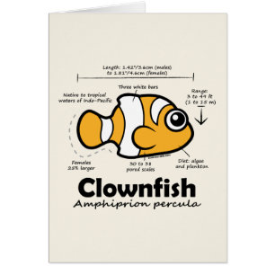 Estadísticas de Clownfish