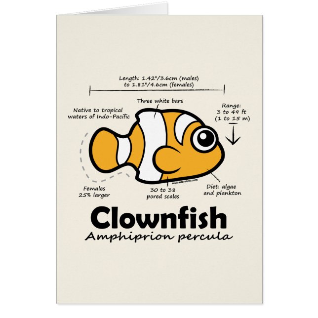 Estadísticas de Clownfish (Frente)