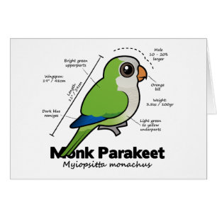 Estadísticas del Parakeet del monje