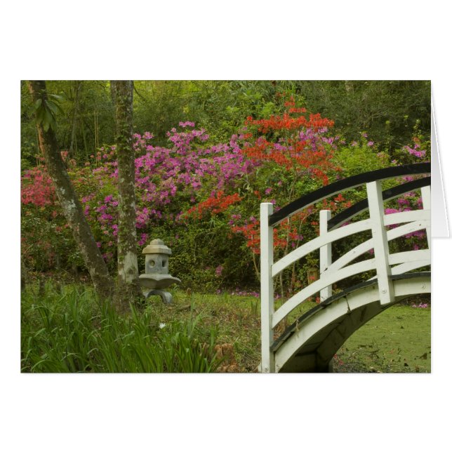 Estados Unidos; Carolina del Sur; Charleston; 5 (Anverso (Horizontal))