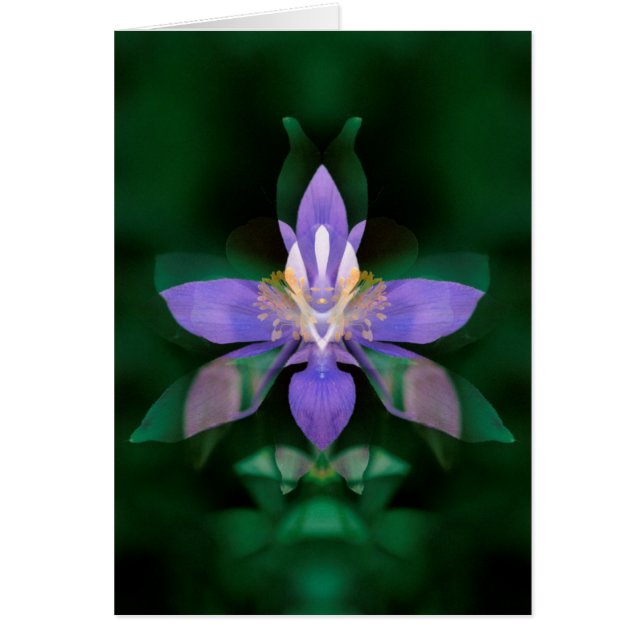 Estados Unidos, Colorado, condado de Boulder (Frente)