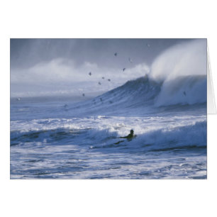 Estados Unidos, estado de Washington, La Push. Hom