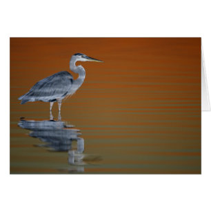 Estados Unidos, Florida, San Petersburgo, Fort De 