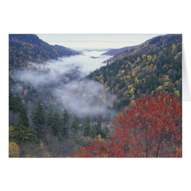 Estados Unidos, Tennessee, Gran Cordillera de Smok (Anverso (Horizontal))