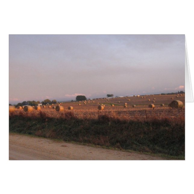 Estalles de maíz balancín (Anverso (Horizontal))