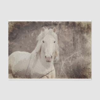 Estallión Broadfoot 18 ob. Papel de descomposición