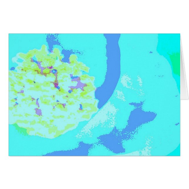 estambre. uno (Anverso (Horizontal))