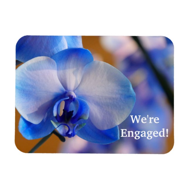 ¡Estamos comprometidos! Imán flexible (Horizontal)