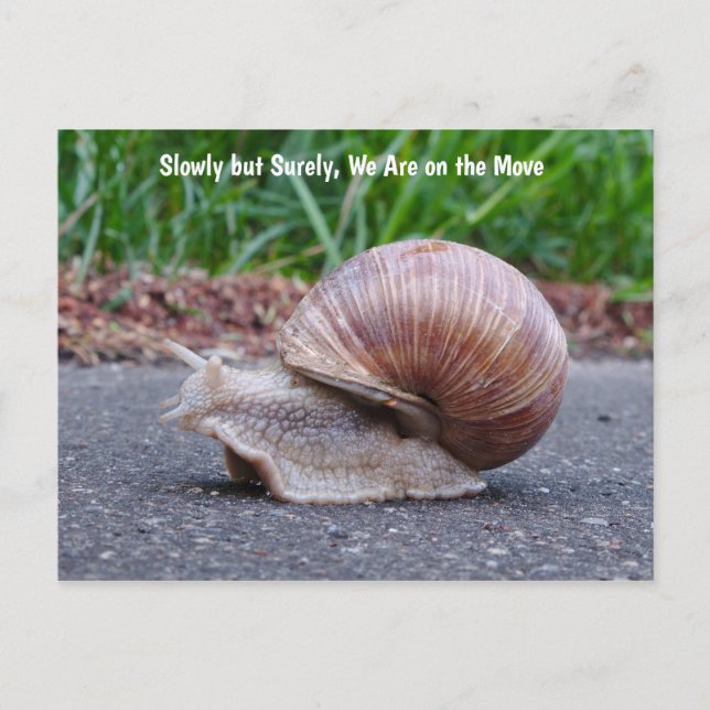 Estamos navegando por la postal (Anverso)