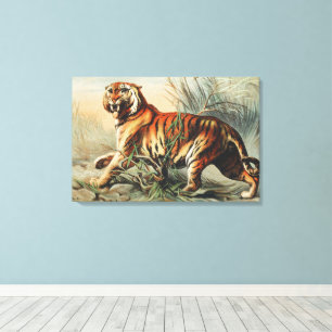 Estampa de arte naturalista del tigre real de Beng