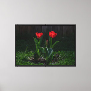 Estampa de lienzo estirado de tulipanes rojos