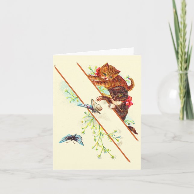estampado de gatitos y mariposas trepadores (Anverso)