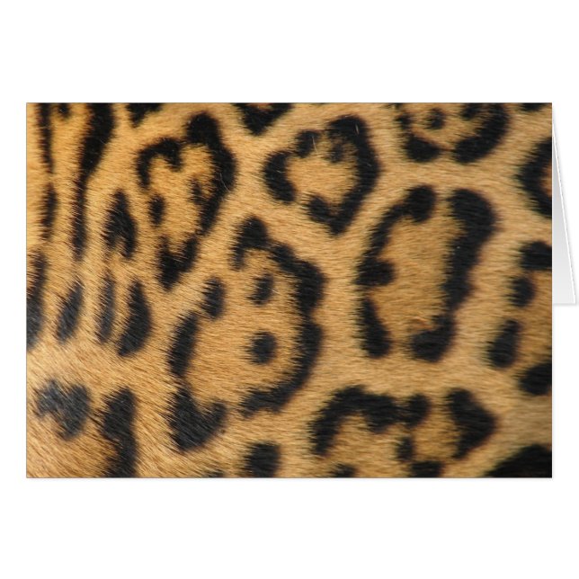 Estampado de leopardo (Anverso (Horizontal))