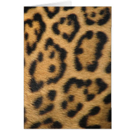Estampado de leopardo