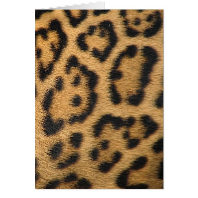 Estampado de leopardo (Frente)