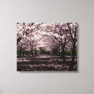 estampado de lienzos envueltos en flores de cerezo