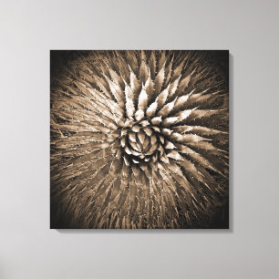Estampado en lienzo de Agave Spikes en sepia 22" x