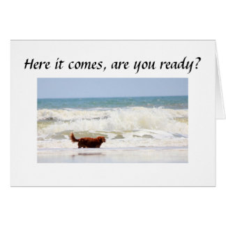 ESTÁN "USTEDES" LISTOS PARA VOLVER ****50****