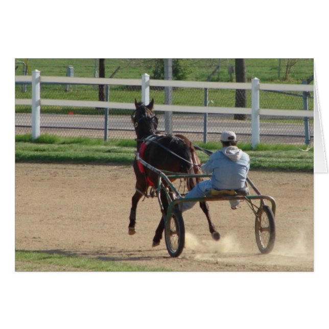 Estándar (Anverso (Horizontal))
