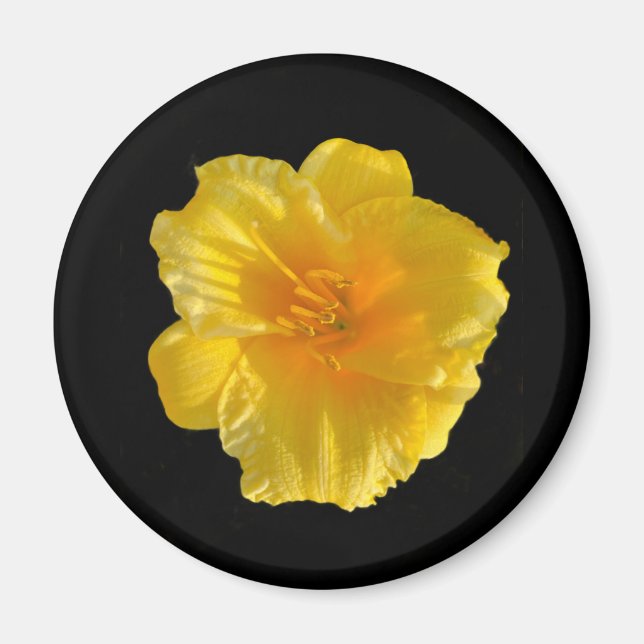 Estándar, 2 imán de círculo de flores amarillas de (Frente)