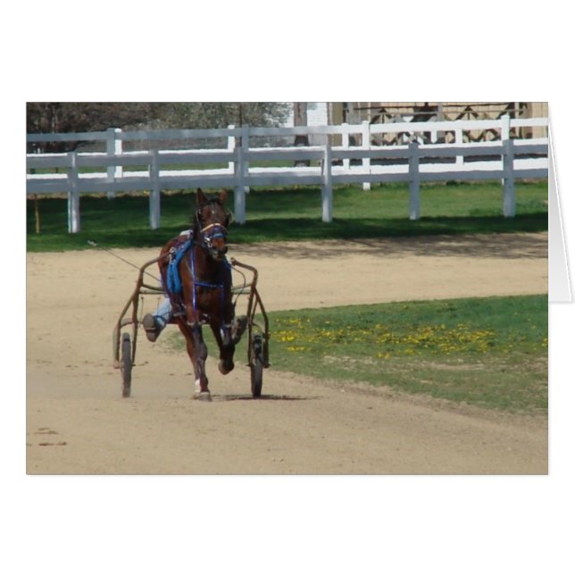 Estandarizado (Anverso (Horizontal))