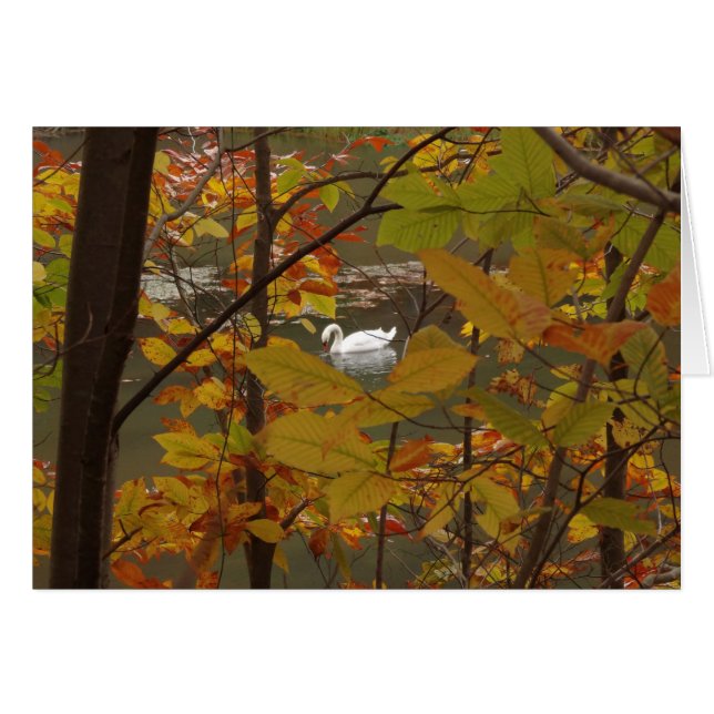 Estanque de otoño con cisne (Anverso (Horizontal))