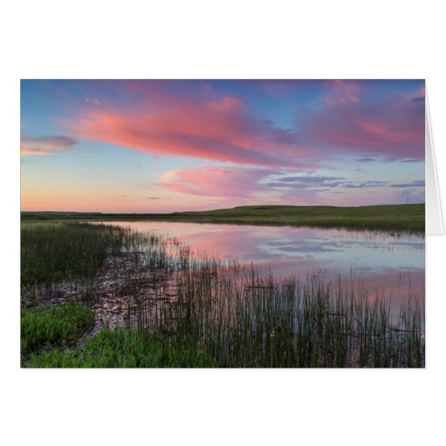 Estanque de pradera refleja nubes brillantes del a (Anverso (Horizontal))