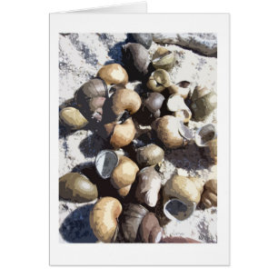 Estanques de caracol