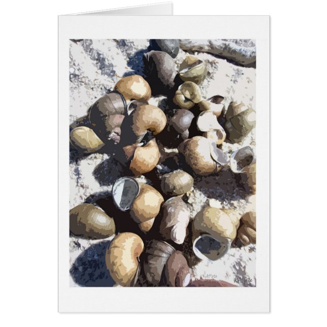 Estanques de caracol (Frente)