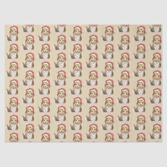 Estantería corta en papel envuelto de Gorra de San (Anverso)