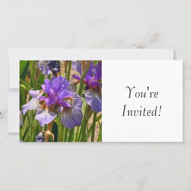 Estás invitado (Anverso)