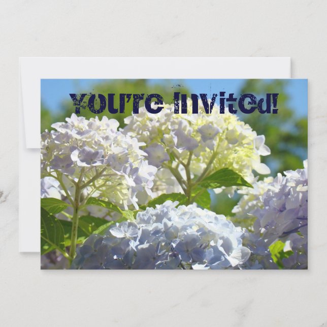 ¡Estás Invitado! Fiesta Fiesta Fiesta Invitaciones (Anverso)