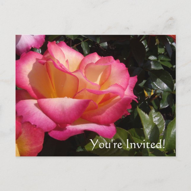 ¡Estás Invitado! Tarjeta Postal de Invitación (Anverso)
