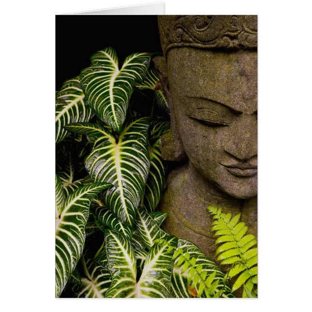 Estatua en un jardín Información de ubicación: Mam (Frente)